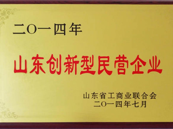 山東創(chuàng)新型民營企業(yè)